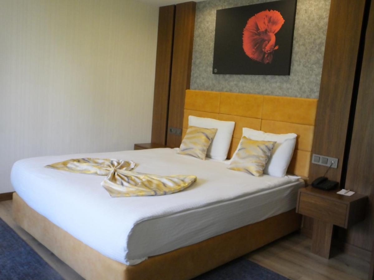 Hotel Ankuva